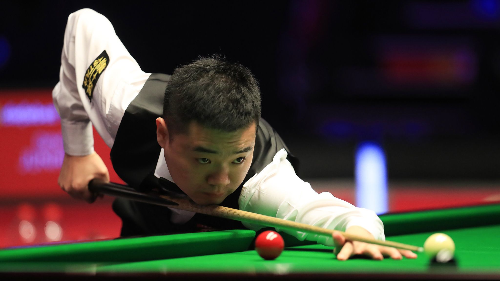 跳水领域的 跳水领域的