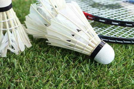 的精神和对 的精神和对