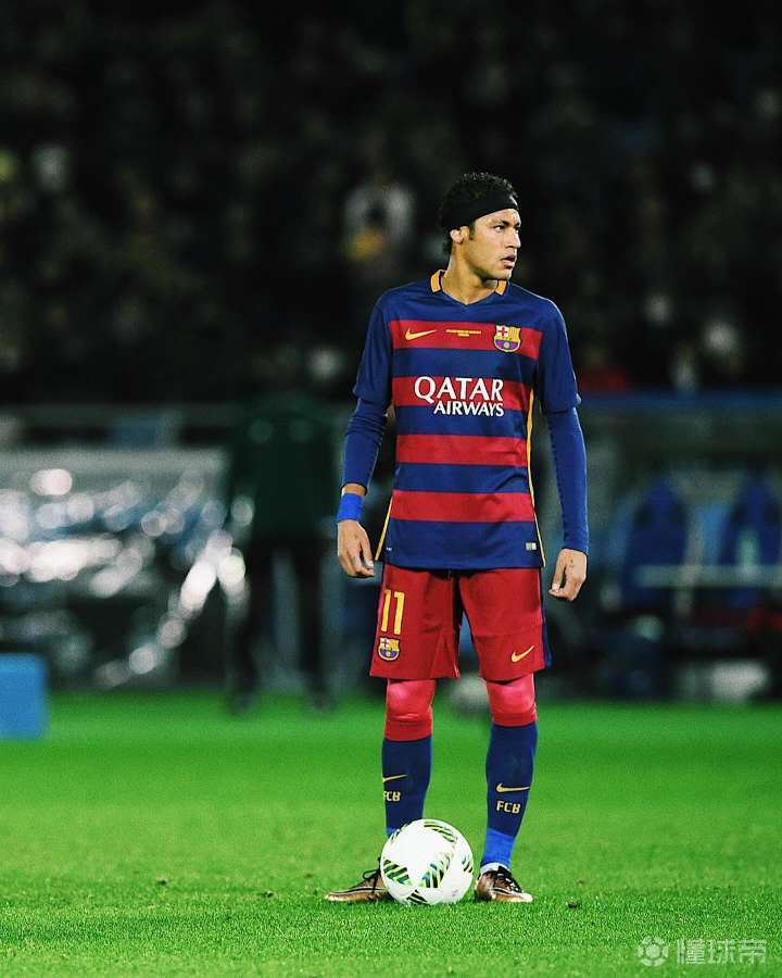 供了模板 供了模板