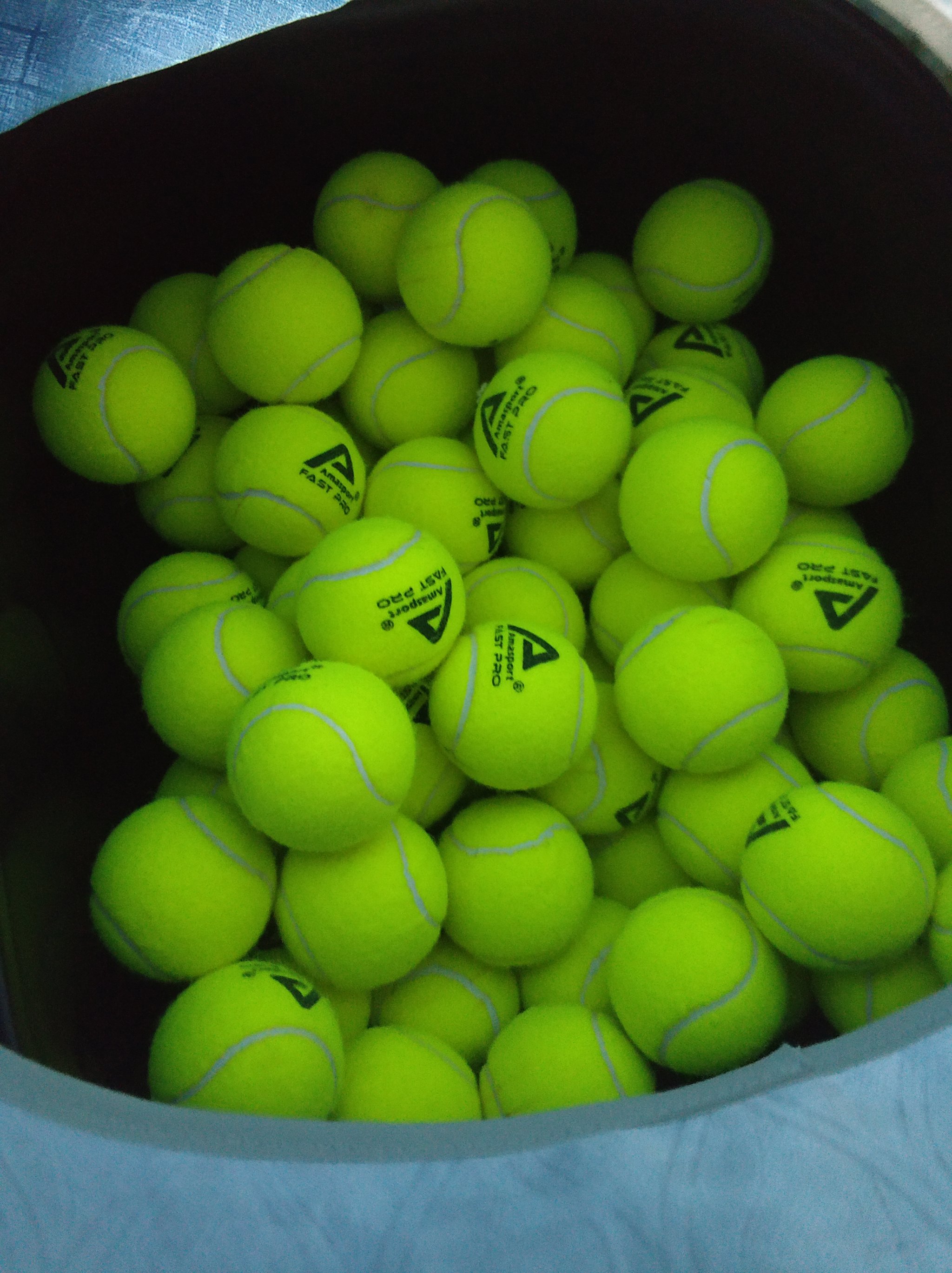 在高水平竞 在高水平竞